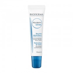 Bioderma Atoderm Levres Κρέμα Εντατικής Φροντίδας Θρέψης και Αναδόμησης για Ξηρά και Σκασμένα Χείλη 15ml