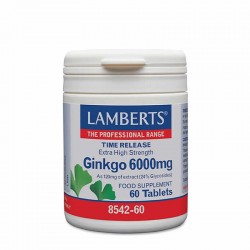 Lamberts Ginkgo 6000mg Time Release Συμπλήρωμα για Ενίσχυση Μνήμης 60 Ταμπλέτες