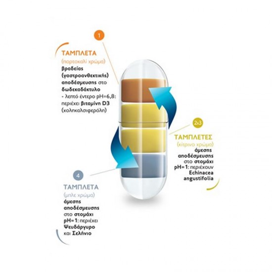 Frezyderm Immuno Defence 30 Κάψουλες - Συμπλήρωμα Διατροφής για Ενίσχυση Ανοσοποιητικού με Βιταμίνη D3, Σελήνιο, Ψευδάργυρο και Εχινάκεια από 12+ ετών