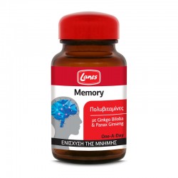 Lanes Memory Multivitamins One-A-Day 30 Ταμπλέτες - Συμπλήρωμα Διατροφής Πολυβιταμίνης με Gingko Biloba & Ginseng για Ενίσχυση της Μνήμης